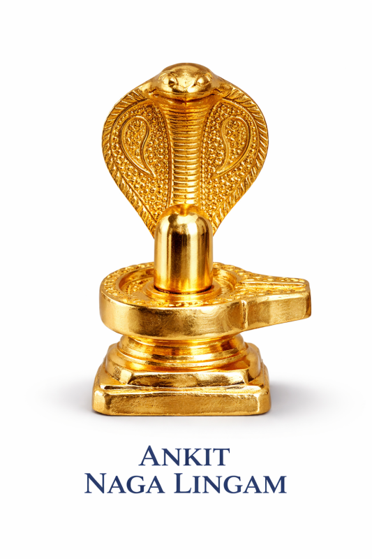 ANKIT NAGA LINGAM 1